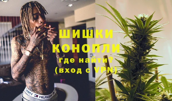 индика Алексин