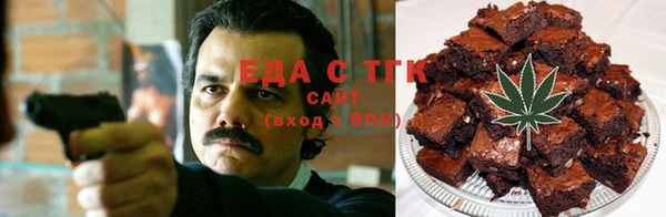 индика Алексин