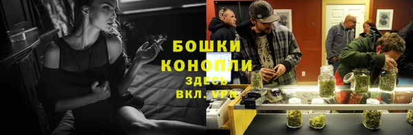 spice Алексеевка