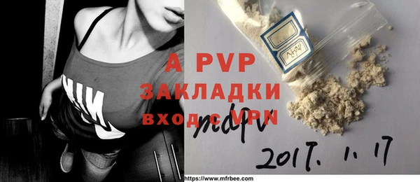 индика Алексин