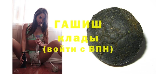 индика Алексин