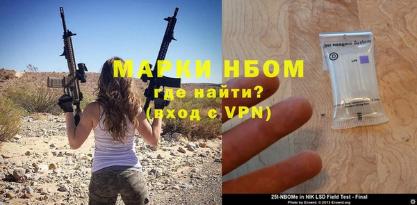 индика Алексин