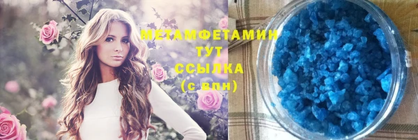 индика Алексин