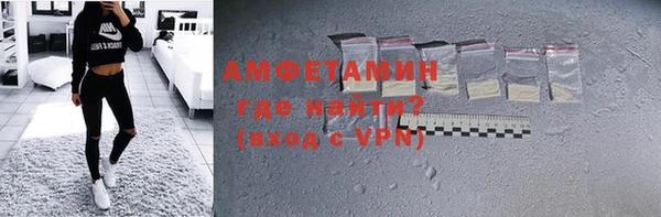 индика Алексин
