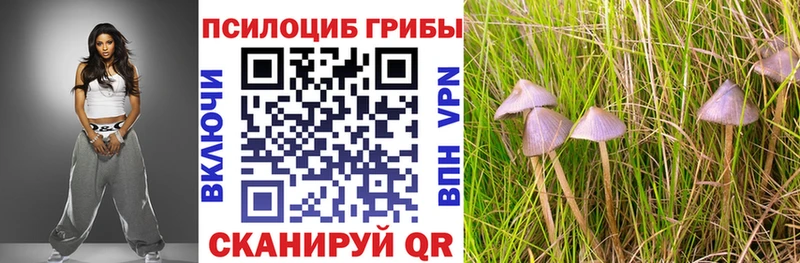ОМГ ОМГ маркетплейс  Бикин  Псилоцибиновые грибы мухоморы 